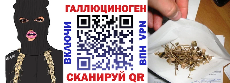 omg ссылки  Катав-Ивановск  Галлюциногенные грибы Cubensis 